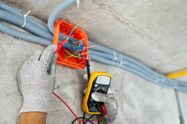 Best Electric Panel Repair  in Mundelein, IL